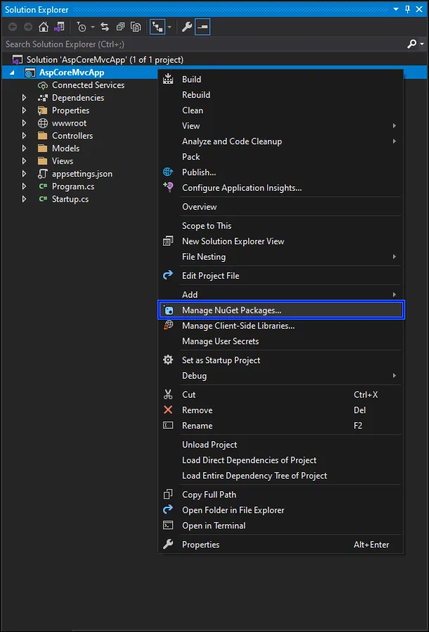 Manage NuGet package on ASP.NET Core MVC app