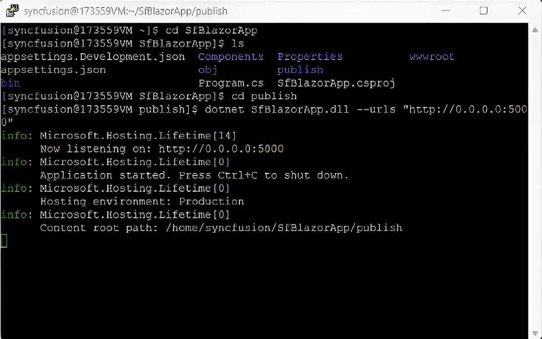 Publish Blazor Web App