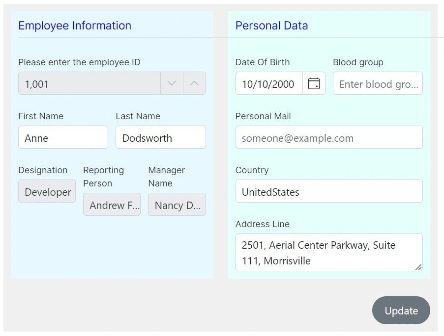 Blazor DataForm form group customized with background color and padding