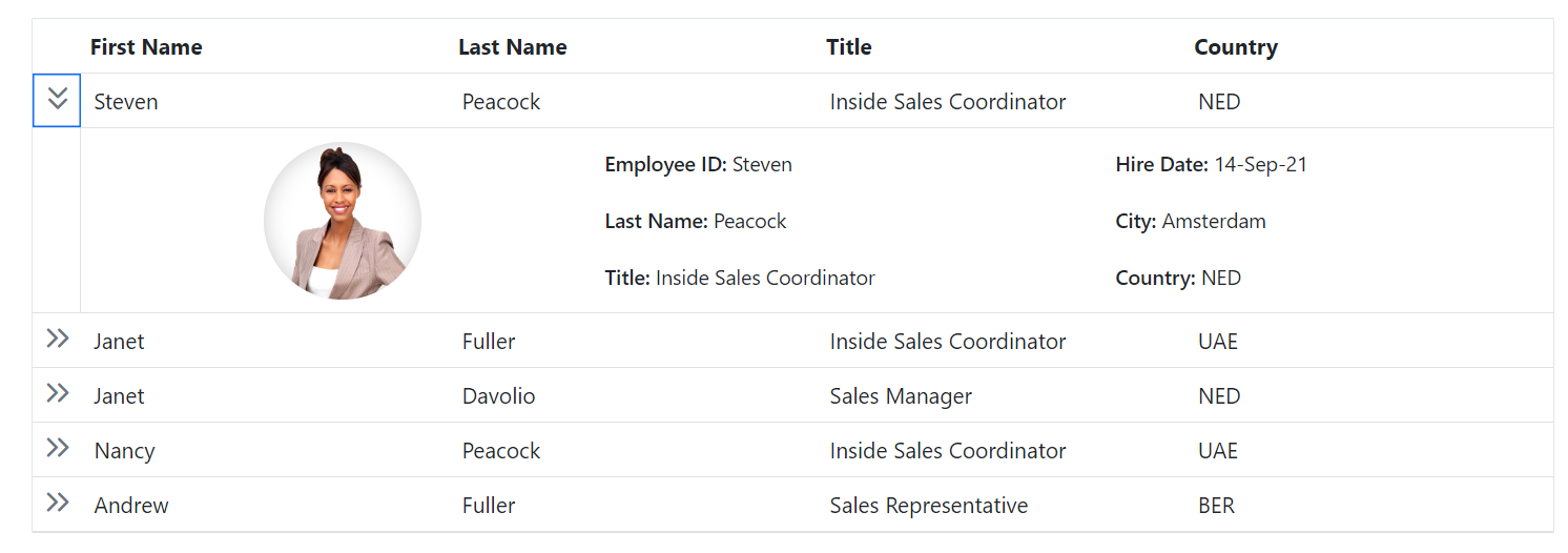 Blazor DataGrid with customized Detail Template icon 