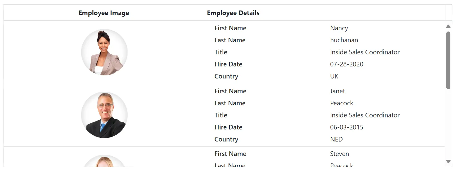 Row Formatting in Blazor DataGrid