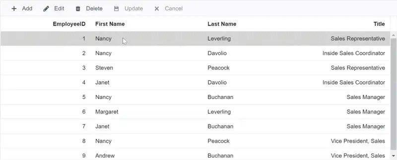 Validate Complex Column Using Data Annotation Attribute in Blazor DataGrid.