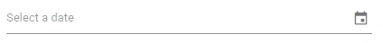 Blazor DatePicker displays Hint Element