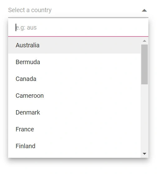 Blazor DropdownList with Filter Textbox Placeholder