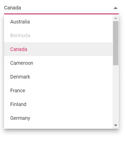 Blazor DropDownList with Popup Width