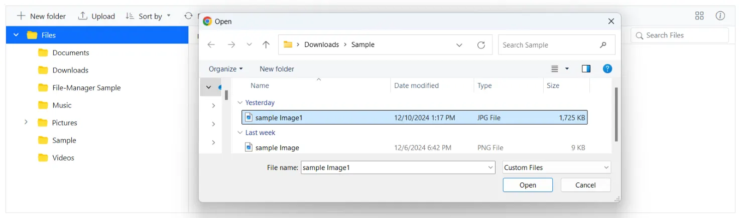 Blazor File Manager with AllowedExtensions