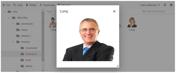 Blazor File Manager with Image Preview