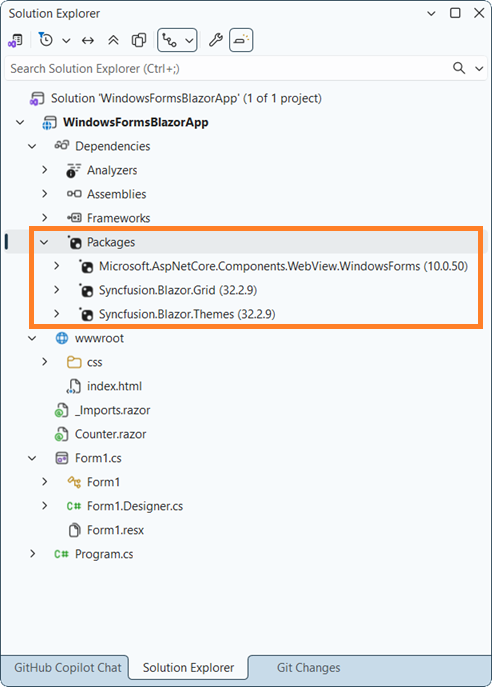 Winforms Blazor App NuGet package reference