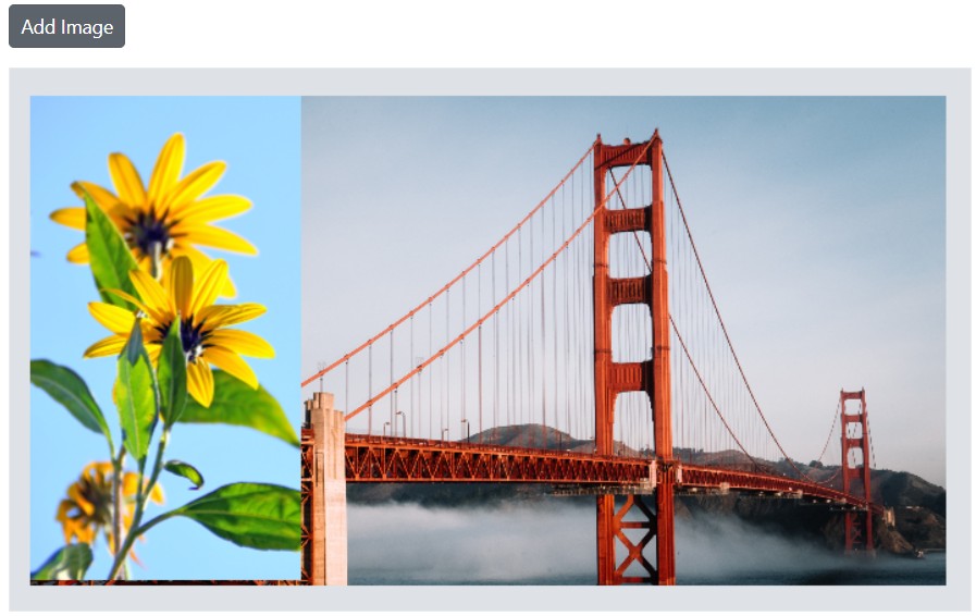Blazor Image Editor with an image annotation