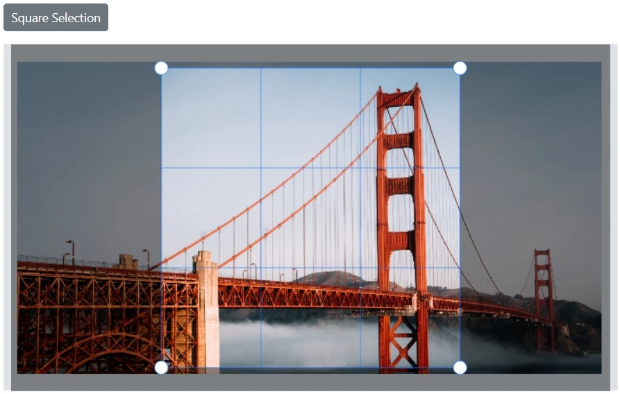 Blazor Image Editor with Square select