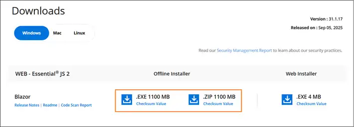 Trial confirmation page showing Blazor offline installer download