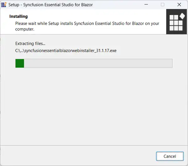 Web installer setup extracting package