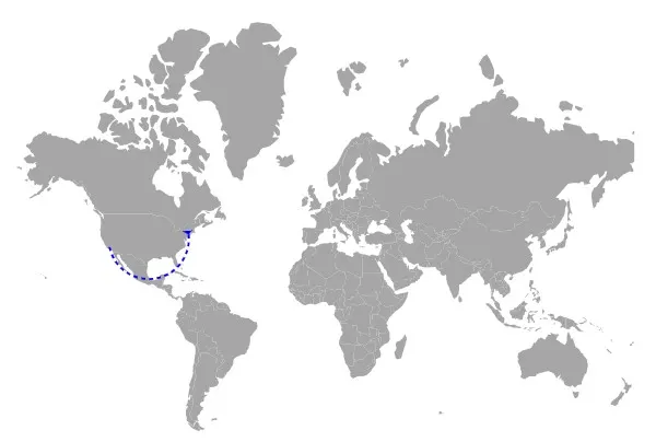 Blazor Maps with Navigation Line Arrow