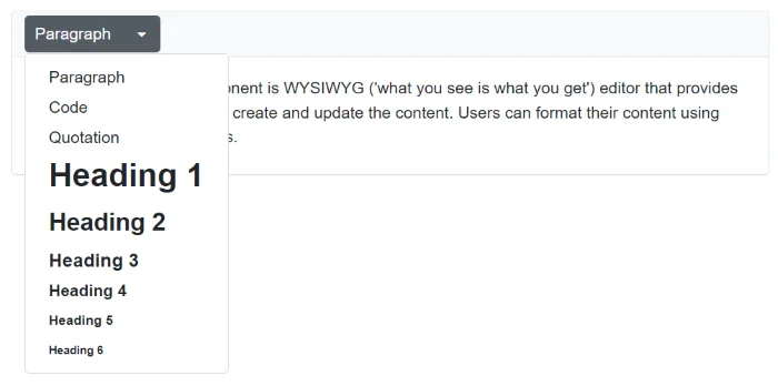 Blazor RichTextEditor with Custom Format