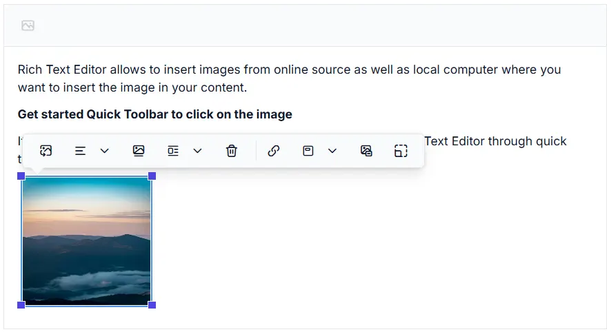 Blazor RichTextEditor image quick toolbar