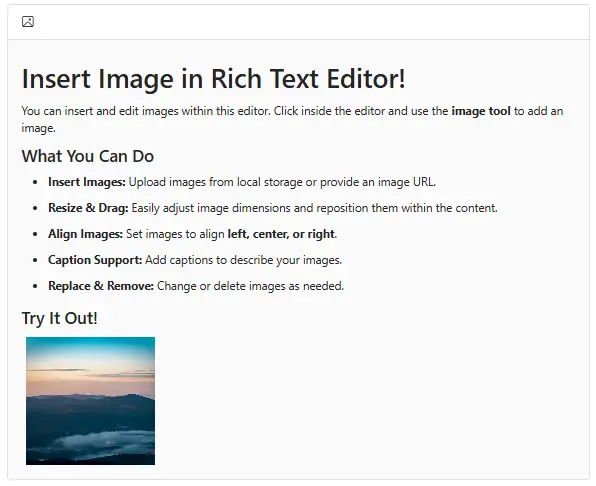 Blazor RichTextEditor with image