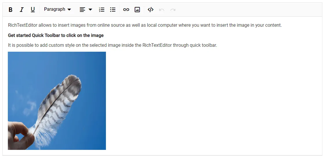 Blazor RichTextEditor with Image