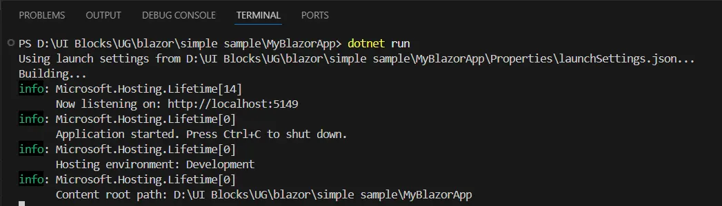 Local development server running