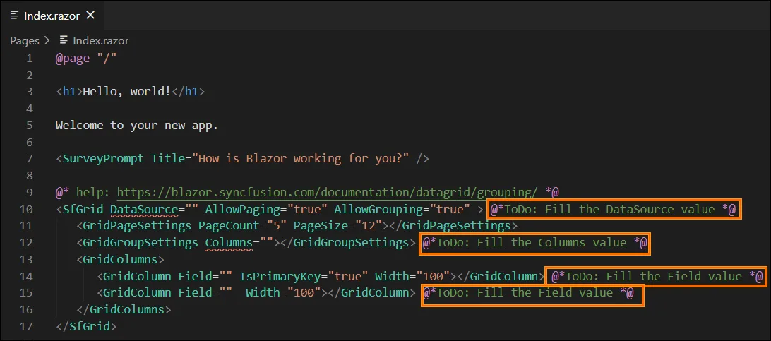 Snippet comments highlighting required placeholders