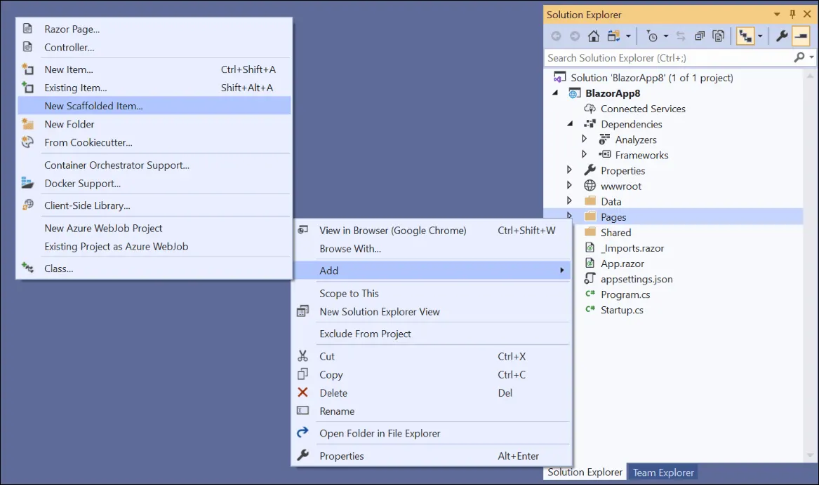 Scaffolded add-in from server project